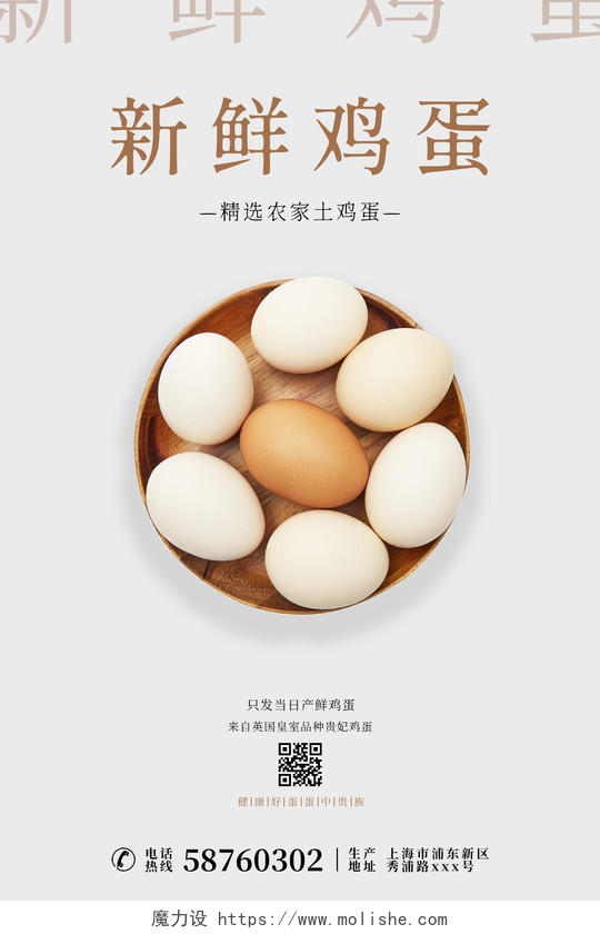 白色简约新鲜鸡蛋土鸡蛋宣传海报